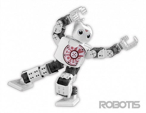 ROBOTIS MINI 10-14 лет